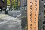 さかなと森の観察園