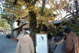 よーじやカフェ 銀閣寺店
