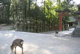 奈良公園