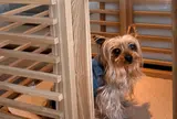 熱川オーシャンリゾート