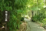 竹林の小径
