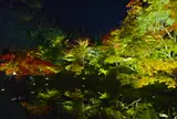 高台寺