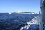 東京湾フェリー　久里浜支店