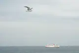 東京湾フェリー