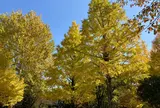 新井薬師公園