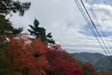 【2日目 10:30】もみじ回廊