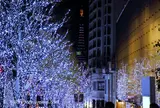 六本木ヒルズけやき坂通り