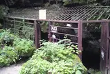 西湖コウモリ穴
