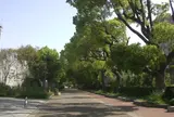 真田山公園