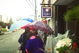 たま木亭
