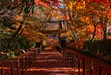 光明寺