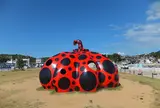 赤かぼちゃ