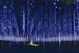 あしかがフラワーパーク