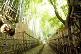 ひよどり坂