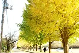 佐倉城址公園