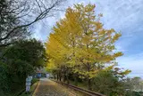 城山公園