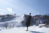 ダイナランド