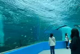 のとじま水族館