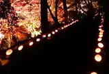 東郷公園