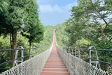 猴探井 天空之橋