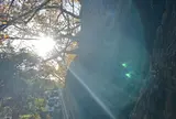 赤坂氷川神社