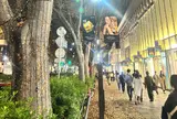 表参道　ケヤキ並木