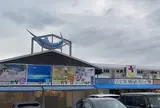 日本海さかな街