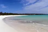 渡口の浜