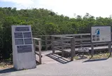 島尻のマングローブ林