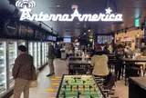 アンテナアメリカ東京