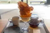 acoya アコヤ