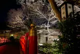 竹林の小径