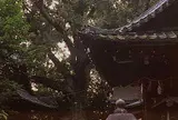 武信稲荷神社