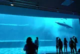 ジェノヴァ水族館