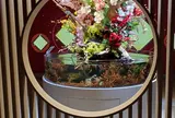 スマートアクアリウム静岡