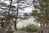 文学のこみち