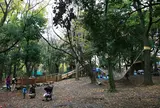 世田谷プレーパーク
