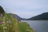 円山川