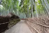 天龍寺