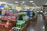ＪＲ西日本 鳥取駅
