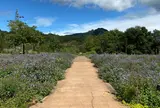 中之条ガーデンズ