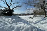 中島公園(歩くスキー)