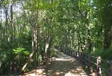 都筑中央公園
