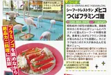 シーフードレストラン メヒコ つくばフラミンゴ館