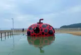 赤かぼちゃ