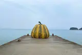 南瓜
