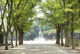 世田谷公園