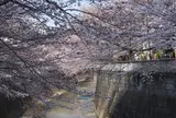 神田川