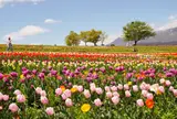 那須フラワーワールド