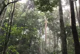 Parc du Banco